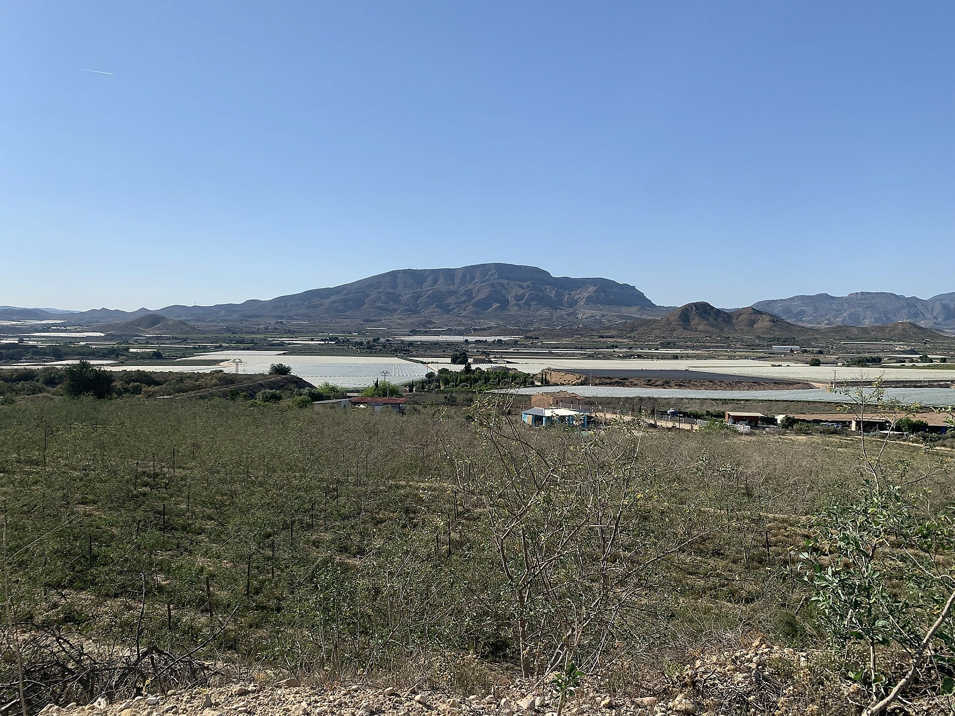 Land In Monforte Del Cid, Spain (11.516 M² Plot)