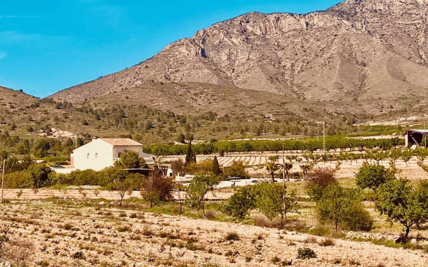 5-bedroom Country House In El Cantón, Spain (308 M²)