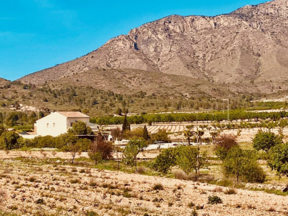 5-bedroom Country House In El Cantón, Spain (308 M²)