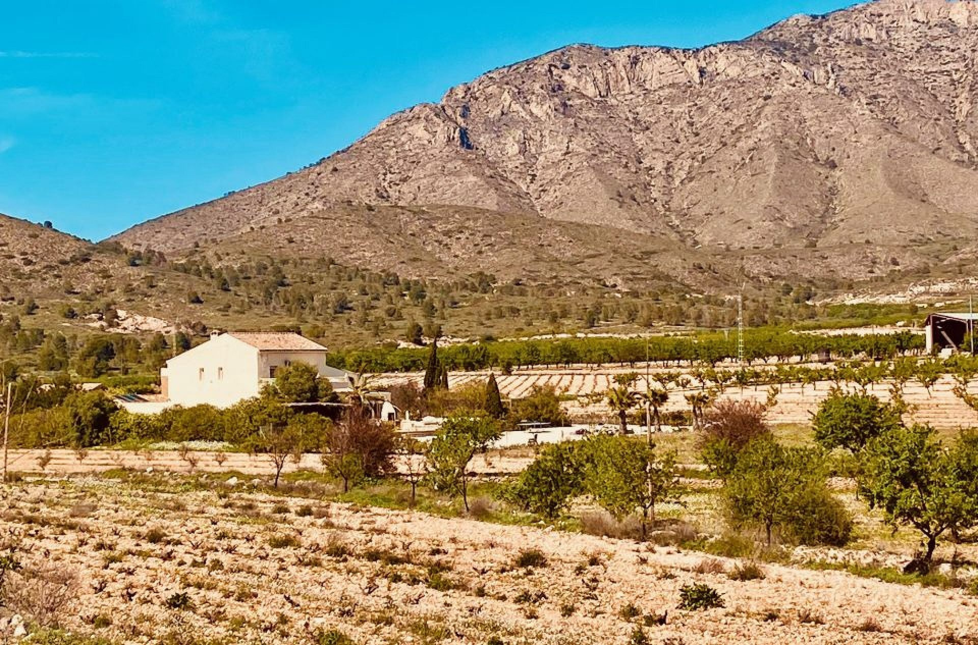 w_4-2-960×633-718ca6 5-bedroom Country House In El Cantón, Spain (308 M²)