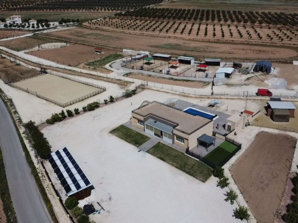 3-bedroom Detached Villa In Pinoso, Spain (200 M²)
