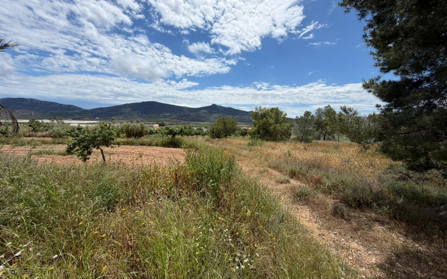5-bedroom Restoration Project In Hondón De Las Nieves, Spain (190 M²)
