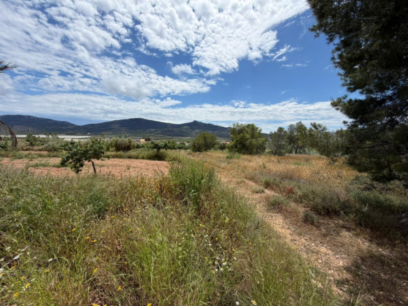 5-bedroom Restoration Project In Hondón De Las Nieves, Spain (190 M²)