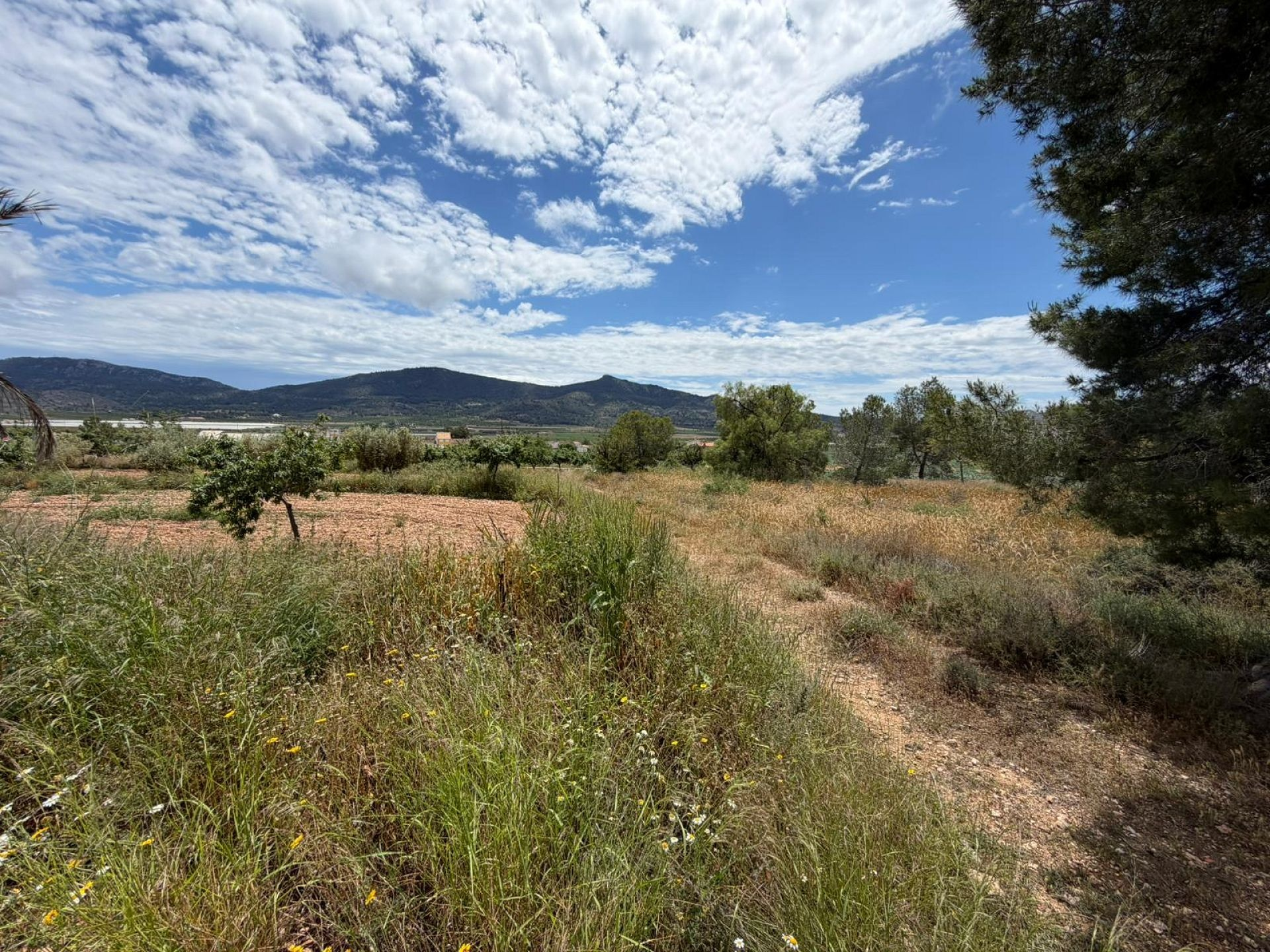 5-bedroom Restoration Project In Hondón De Las Nieves, Spain (190 M²)