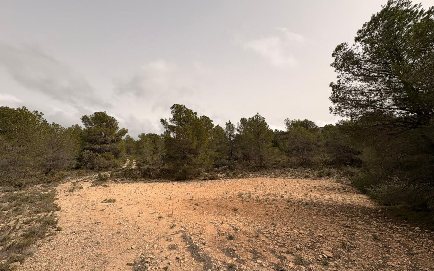 Land In Petrer, Spain (100.000 M² Plot)
