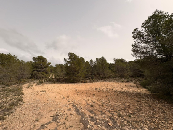 Land In Petrer, Spain (100.000 M² Plot)
