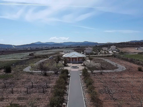 4-bedroom Detached Villa In Pinoso, Spain (209 M²)