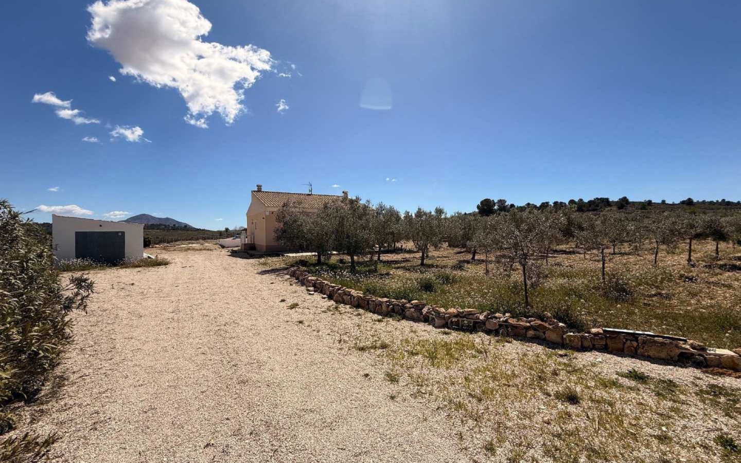 3-bedroom Detached Villa In Pinoso, Spain (115 M²)