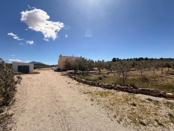 3-bedroom Detached Villa In Pinoso, Spain (115 M²)