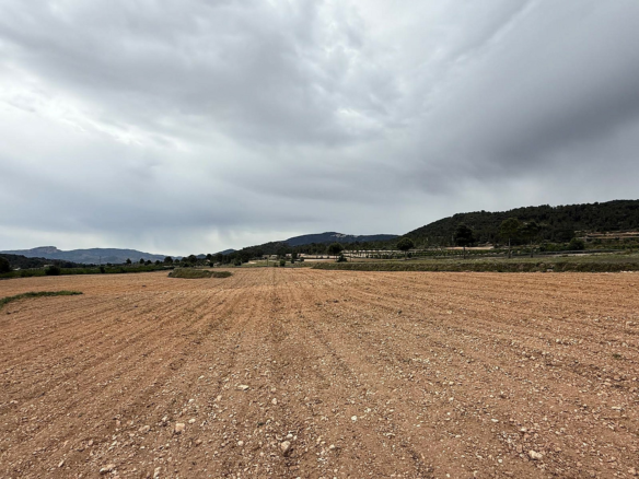 Land In Culebron, Spain (30.354 M² Plot)