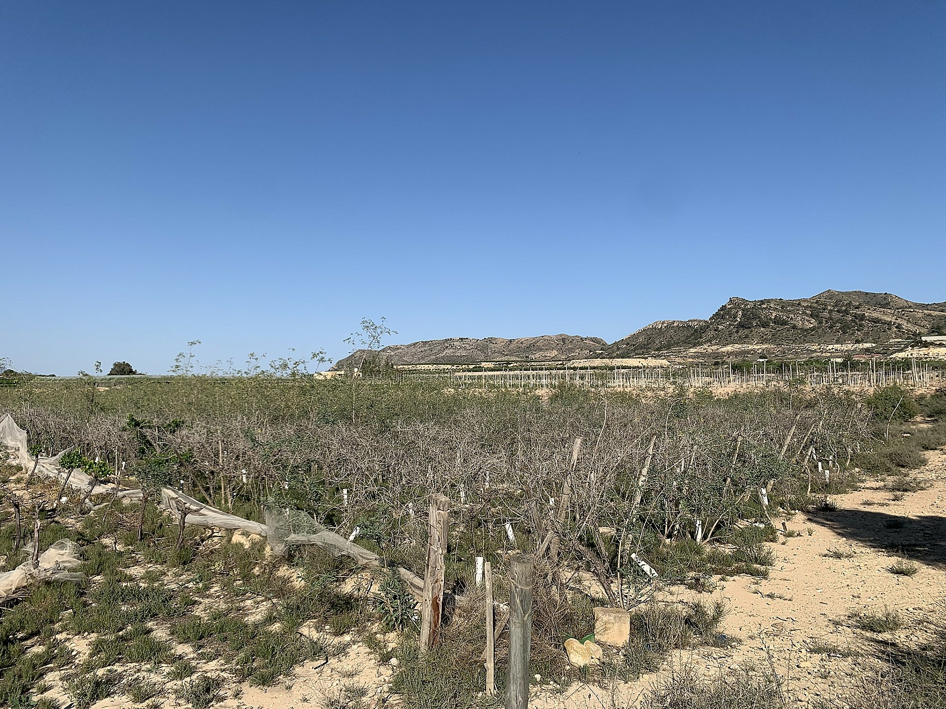 Land In Monforte Del Cid, Spain (17.816 M² Plot)