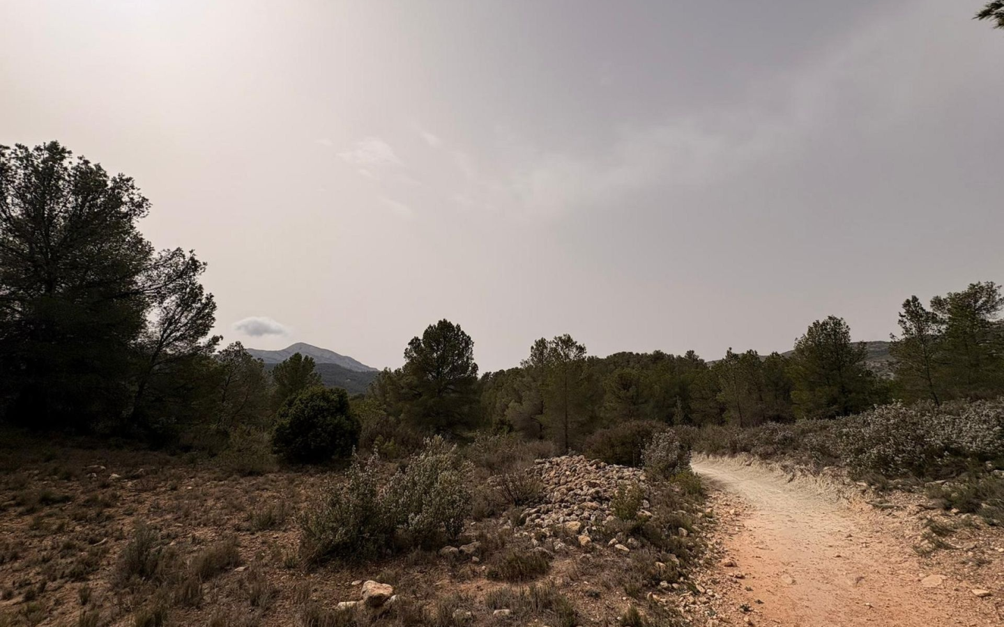 Land In Petrer, Spain (100.000 M² Plot)