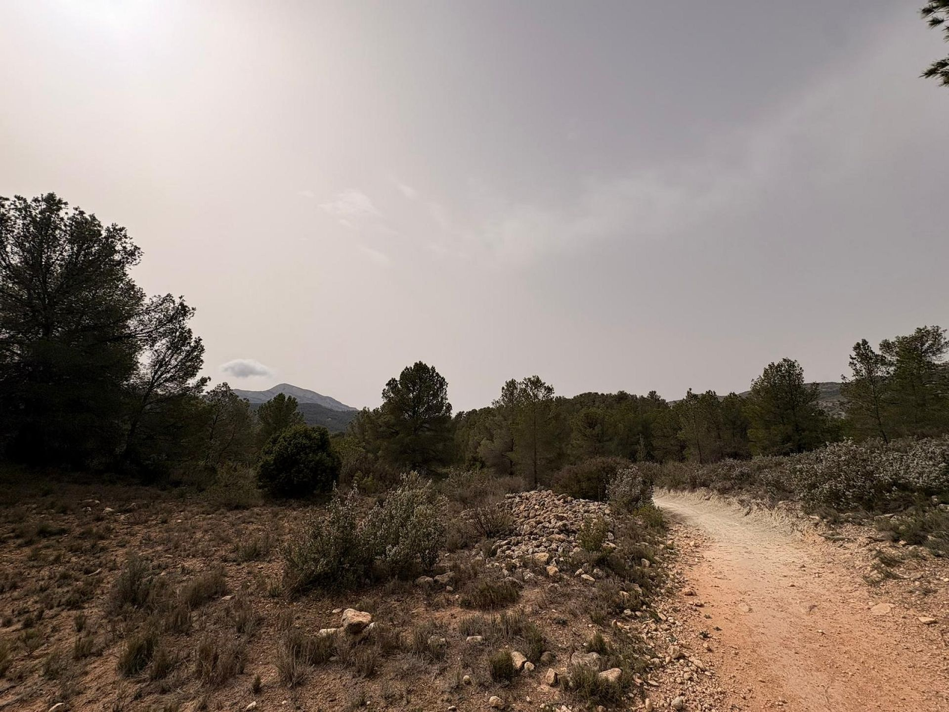 Land In Petrer, Spain (100.000 M² Plot)