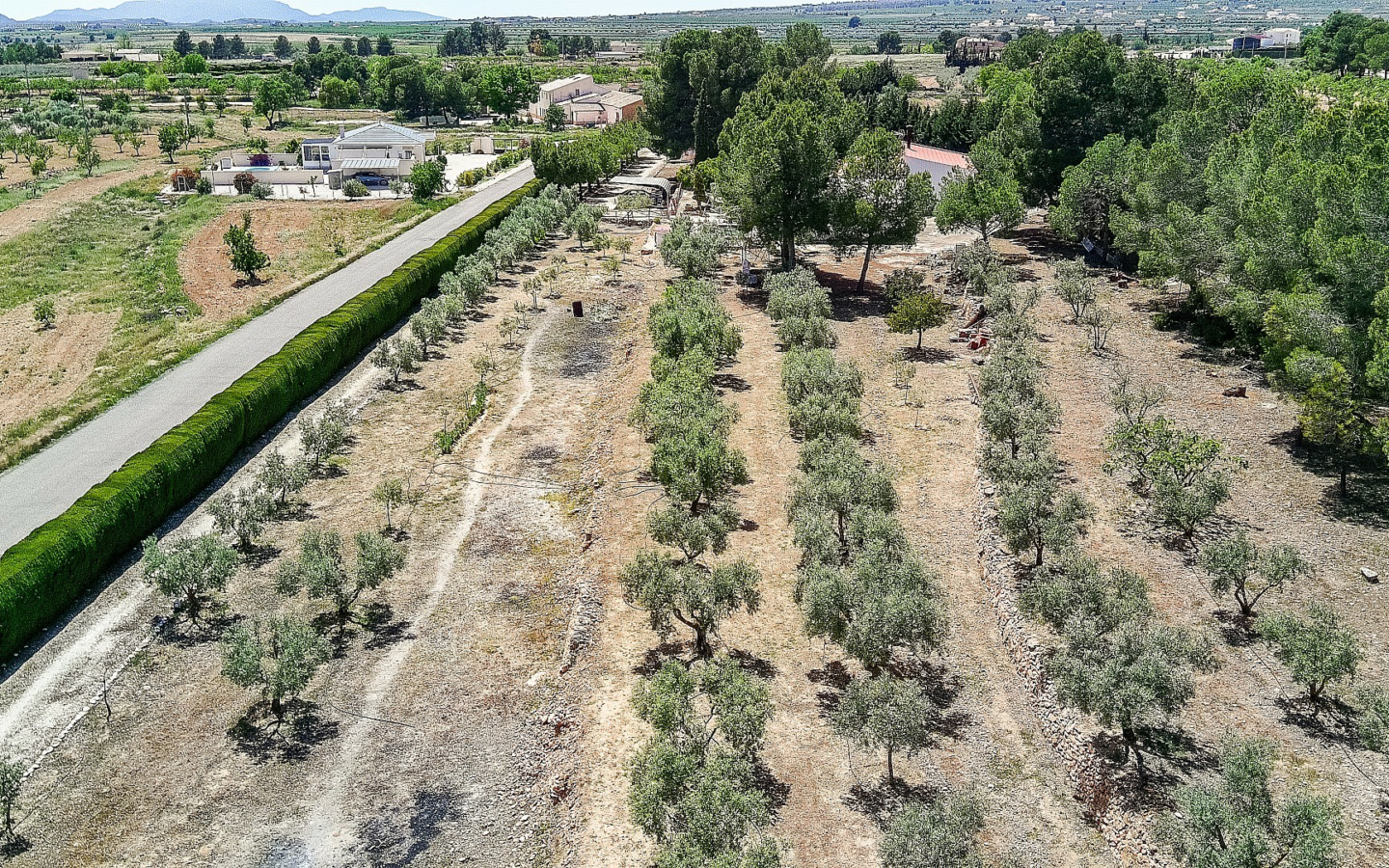 6-bedroom Country House In Pinoso, Spain (291 M²)