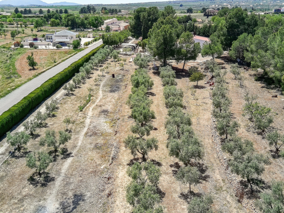6-bedroom Country House In Pinoso, Spain (291 M²)