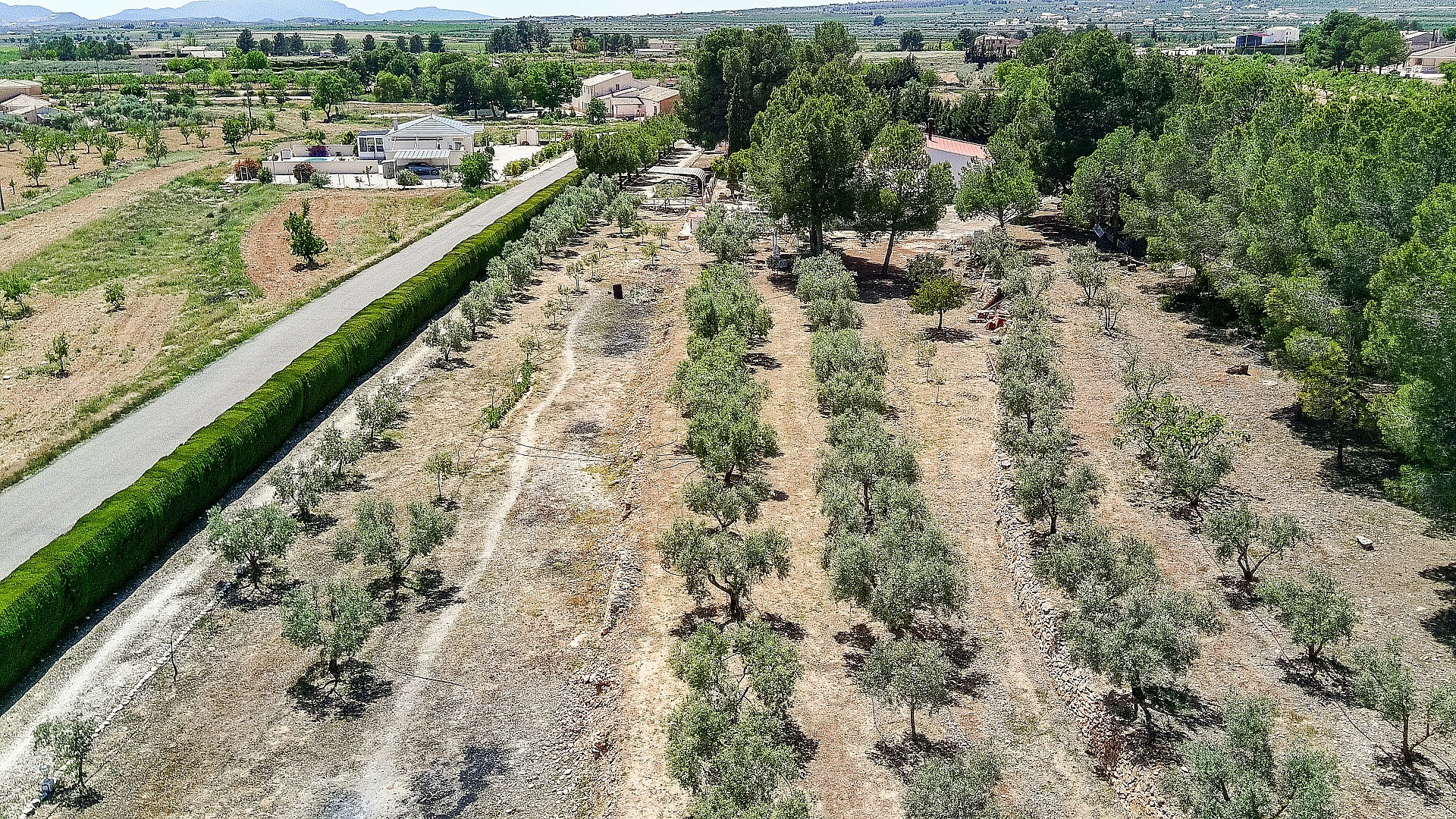6-bedroom Country House In Pinoso, Spain (291 M²)