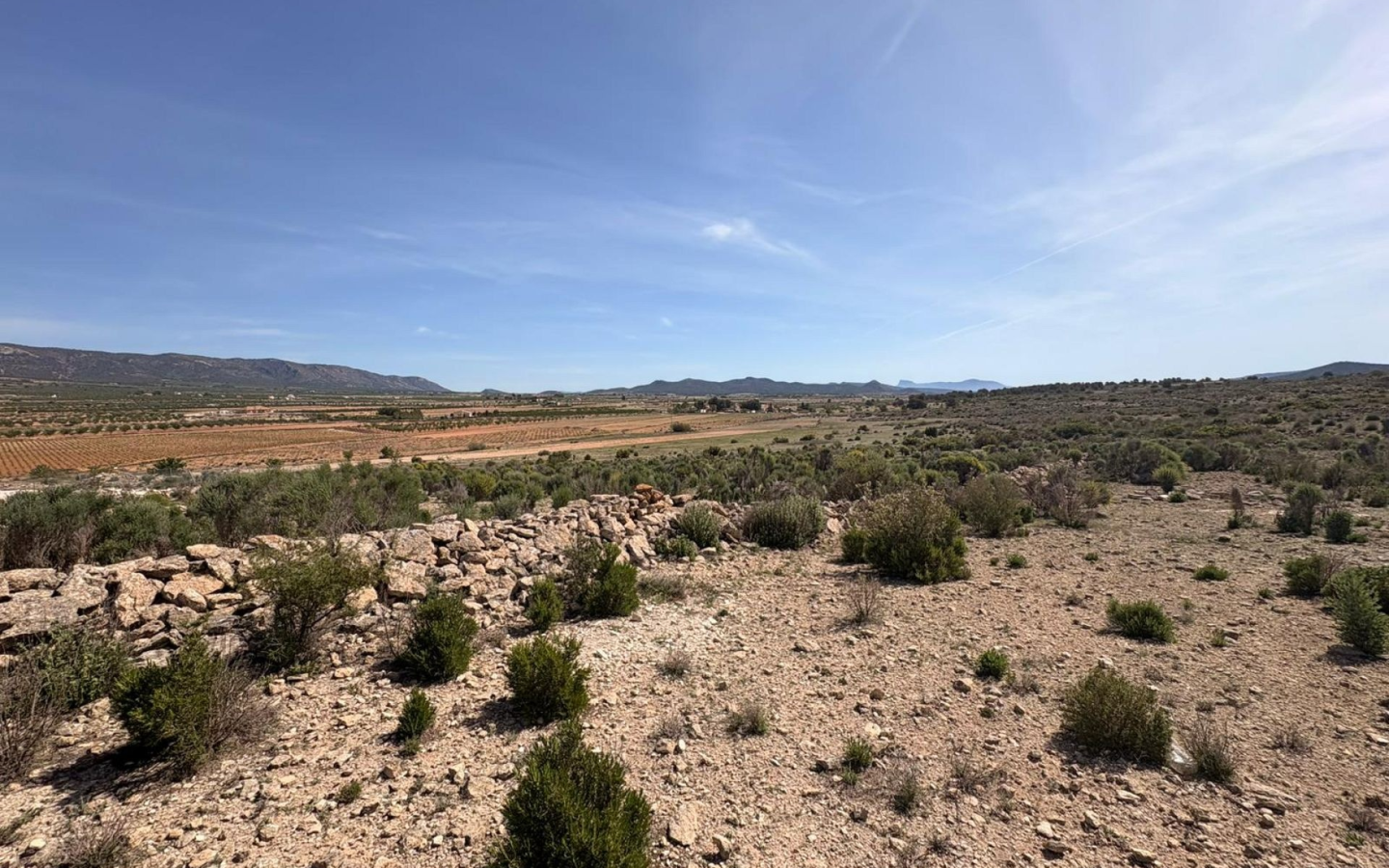 Land In Pinoso, Spain (10.000 M² Plot)