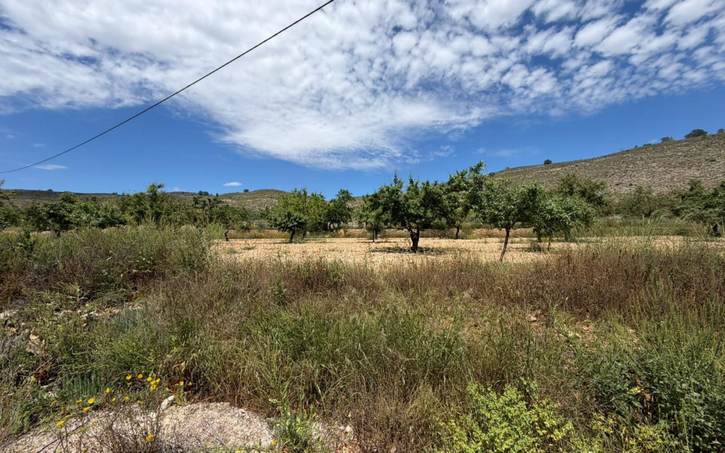 5-bedroom Restoration Project In Hondón De Las Nieves, Spain (190 M²)