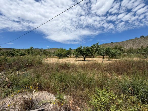 5-bedroom Restoration Project In Hondón De Las Nieves, Spain (190 M²)