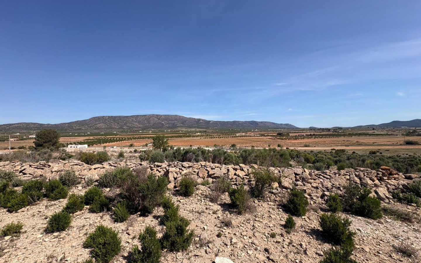 Land In Pinoso, Spain (10.000 M² Plot)
