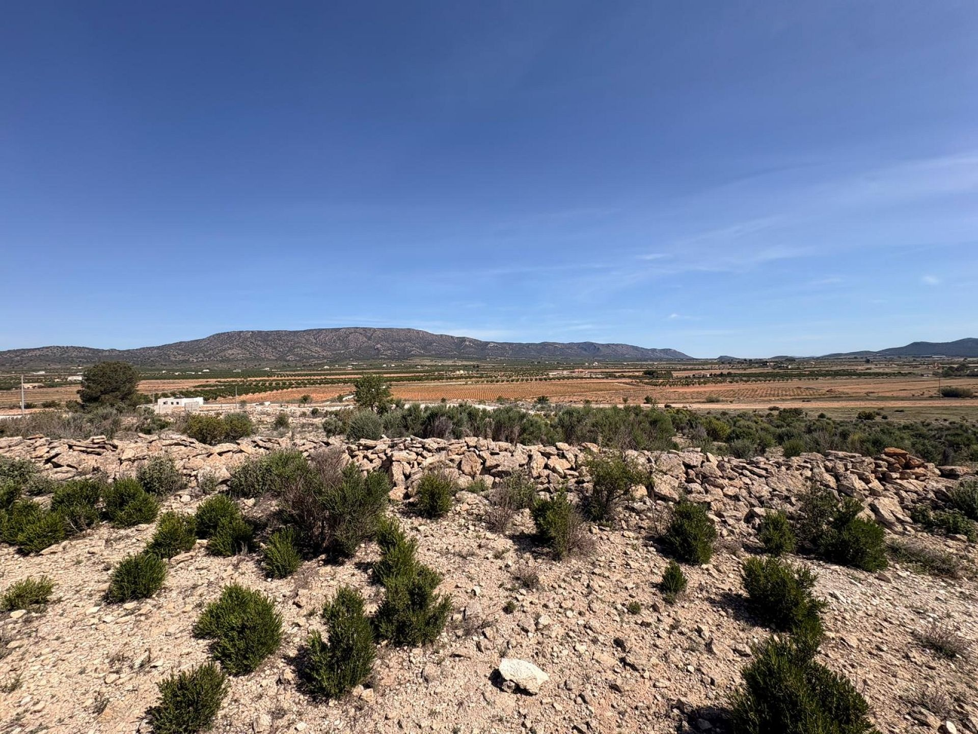 Land In Pinoso, Spain (10.000 M² Plot)