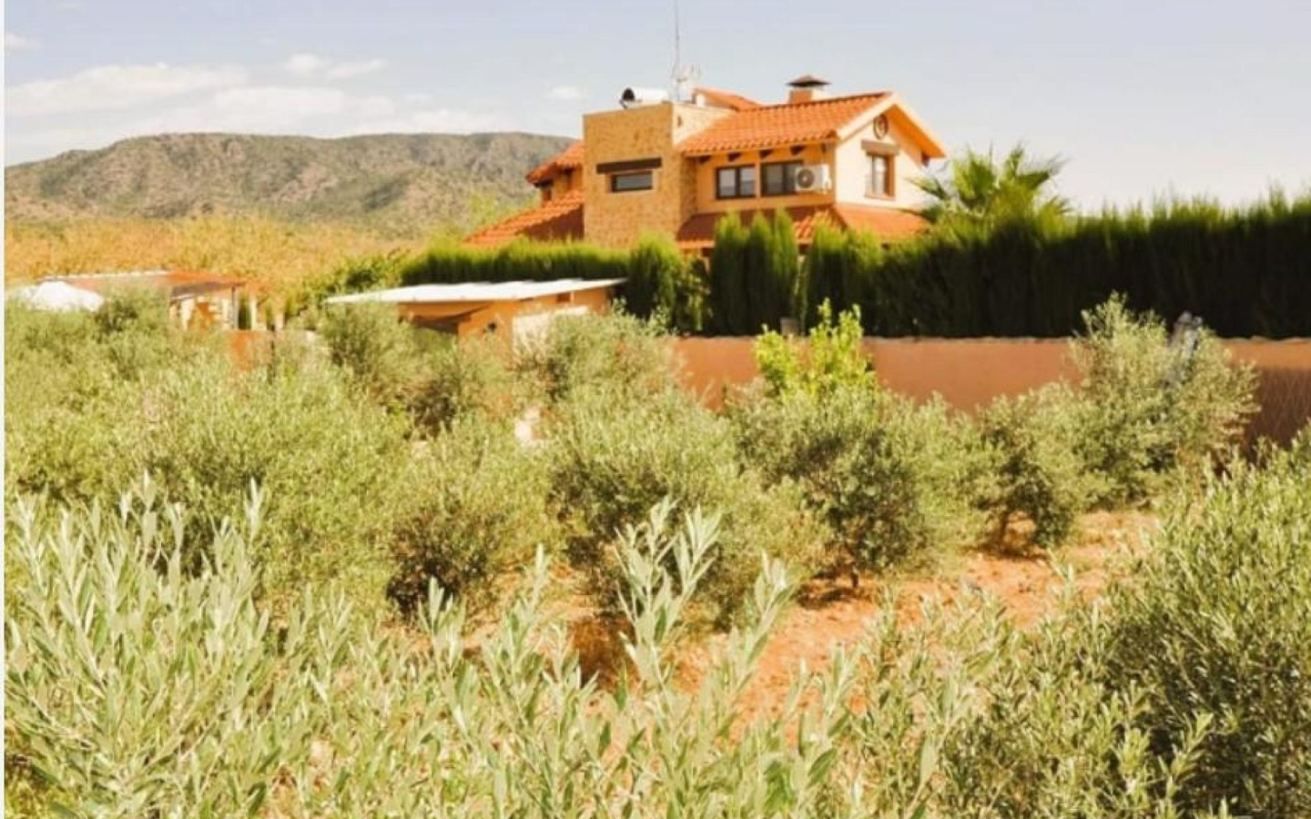 5-bedroom Detached Villa In Pinoso, Spain (300 M²)