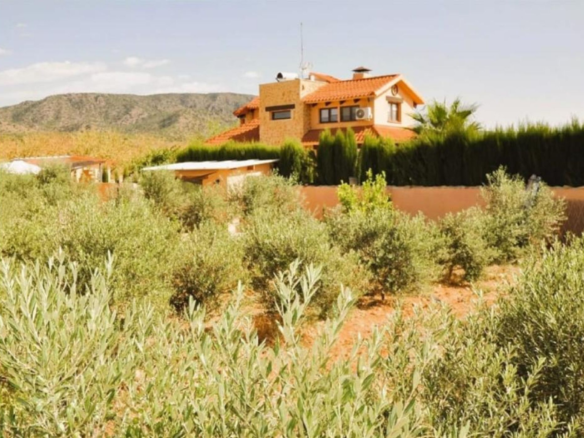 5-bedroom Detached Villa In Pinoso, Spain (300 M²)