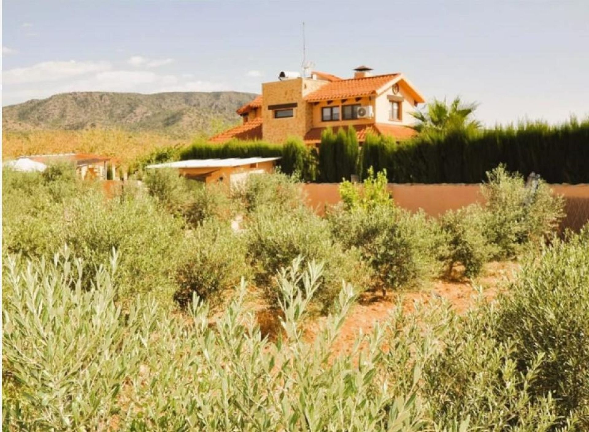 5-bedroom Detached Villa In Pinoso, Spain (300 M²)