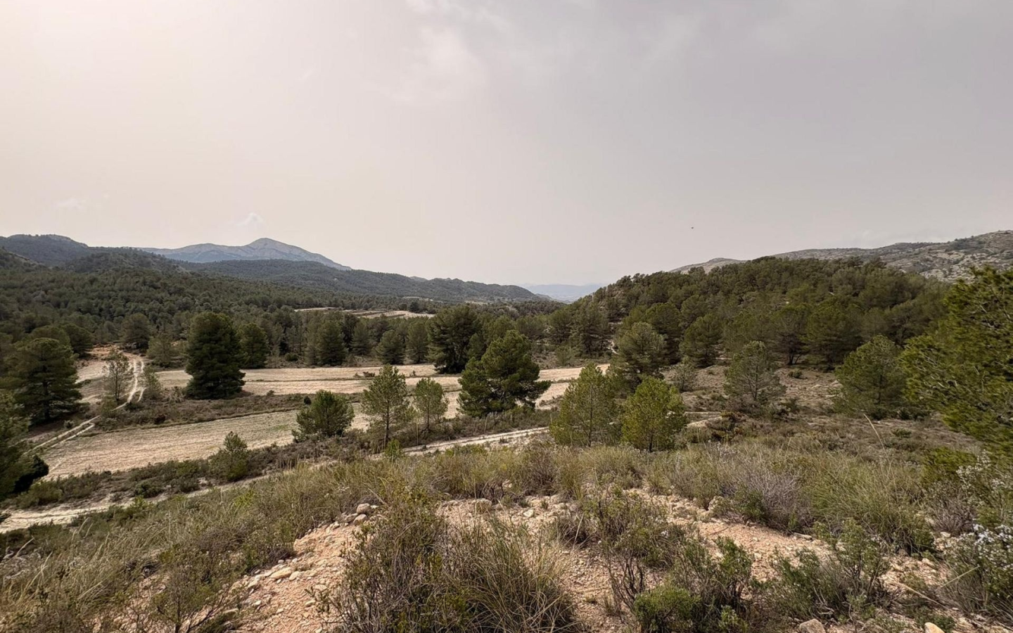 Land In Petrer, Spain (100.000 M² Plot)