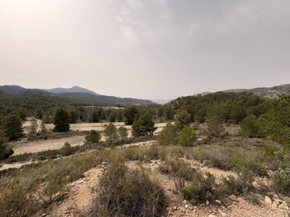 Land In Petrer, Spain (100.000 M² Plot)