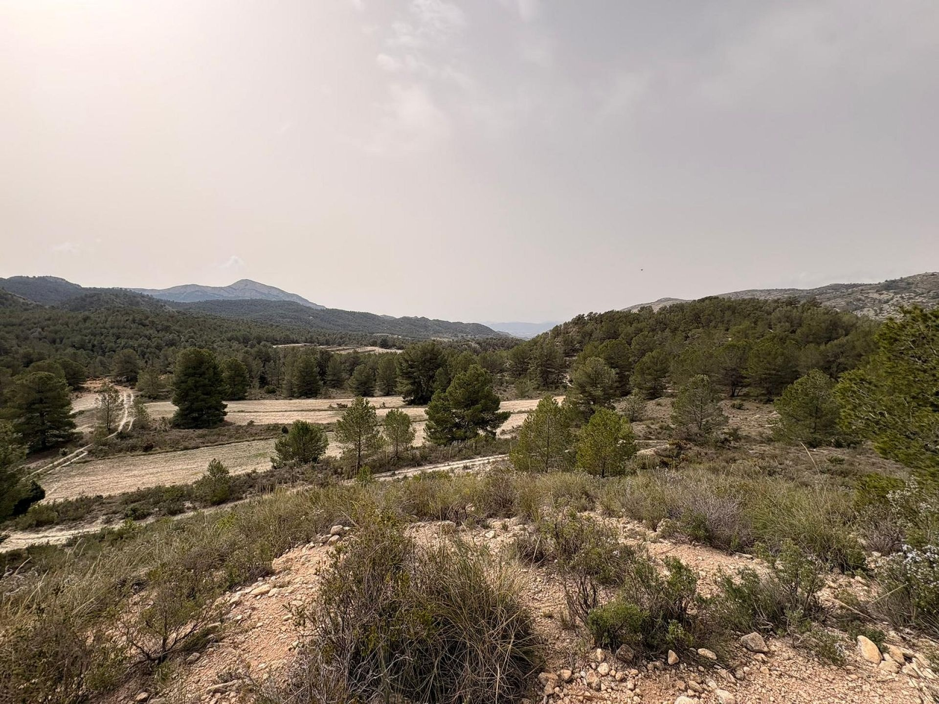 Land In Petrer, Spain (100.000 M² Plot)
