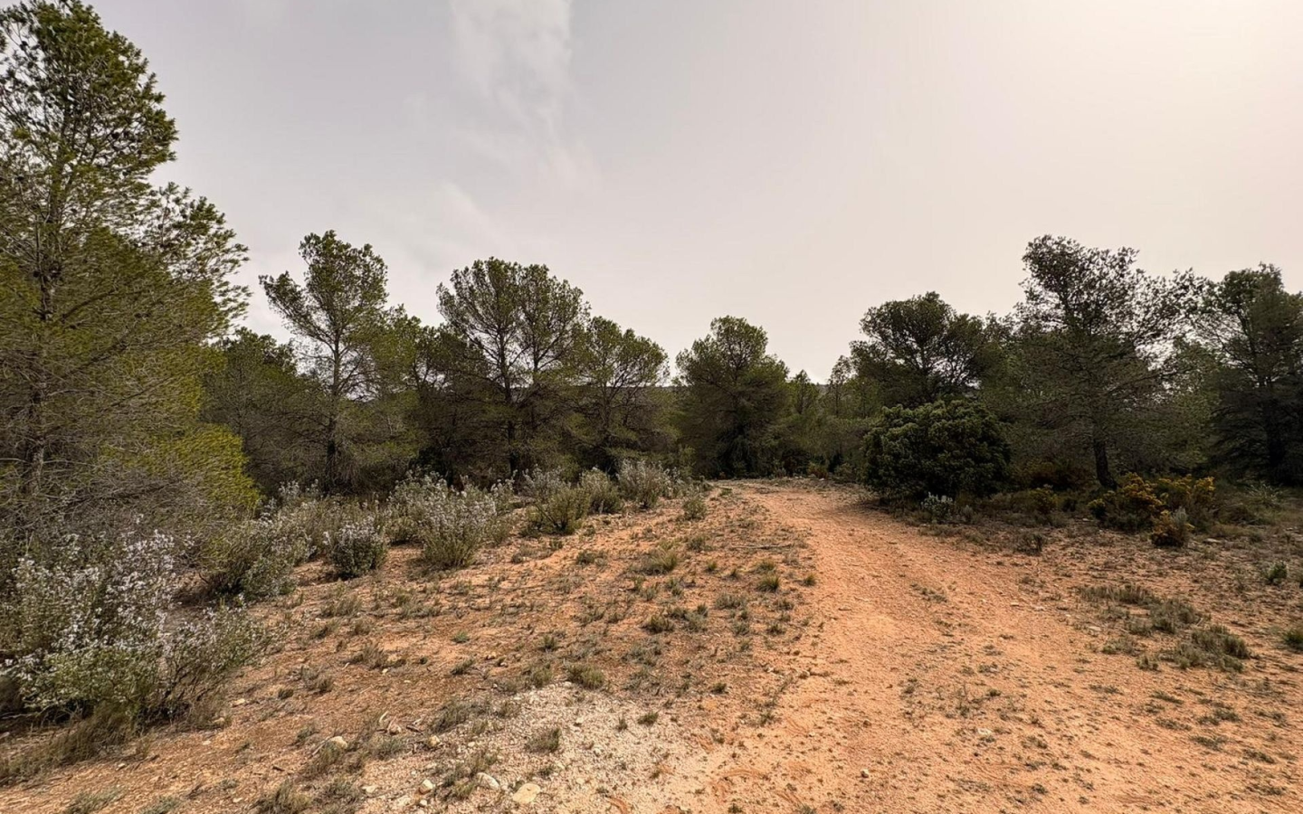 Land In Petrer, Spain (100.000 M² Plot)