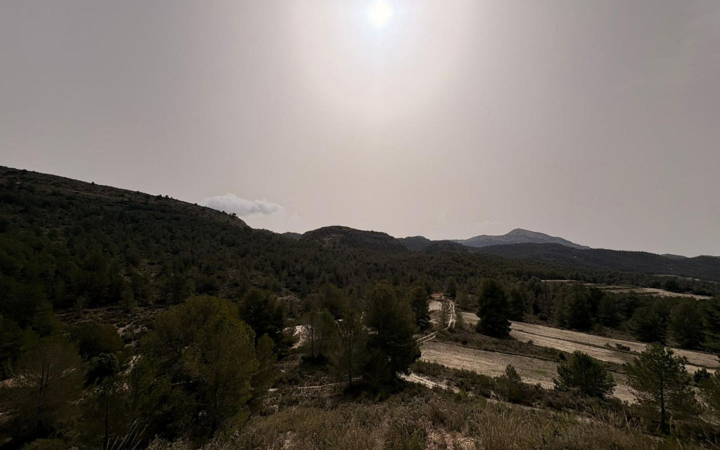 Land In Petrer, Spain (100.000 M² Plot)