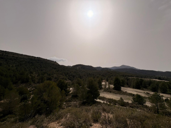 Land In Petrer, Spain (100.000 M² Plot)