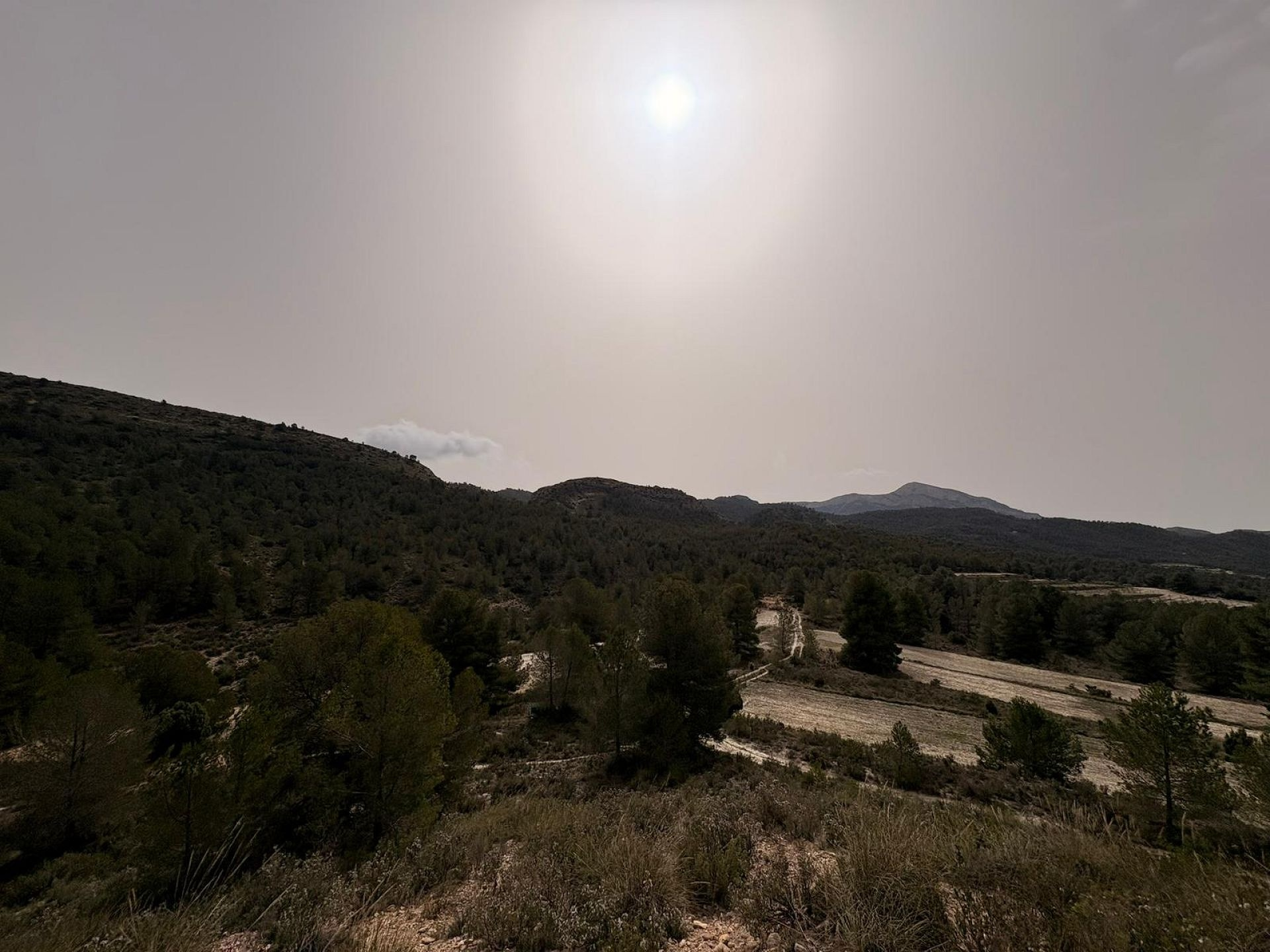 Land In Petrer, Spain (100.000 M² Plot)