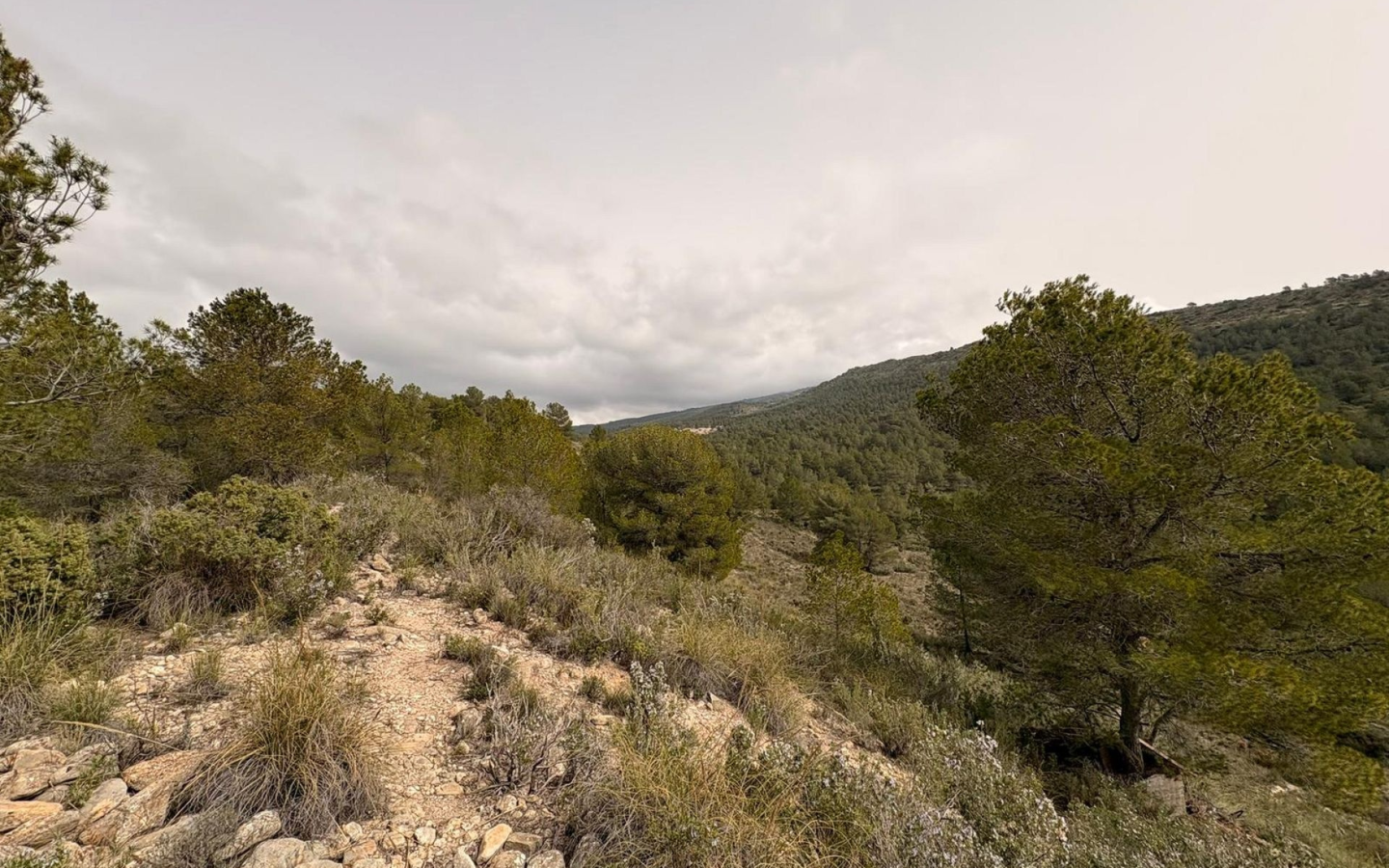 Land In Petrer, Spain (100.000 M² Plot)