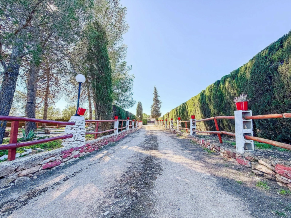 6-bedroom Country House In Pinoso, Spain (291 M²)