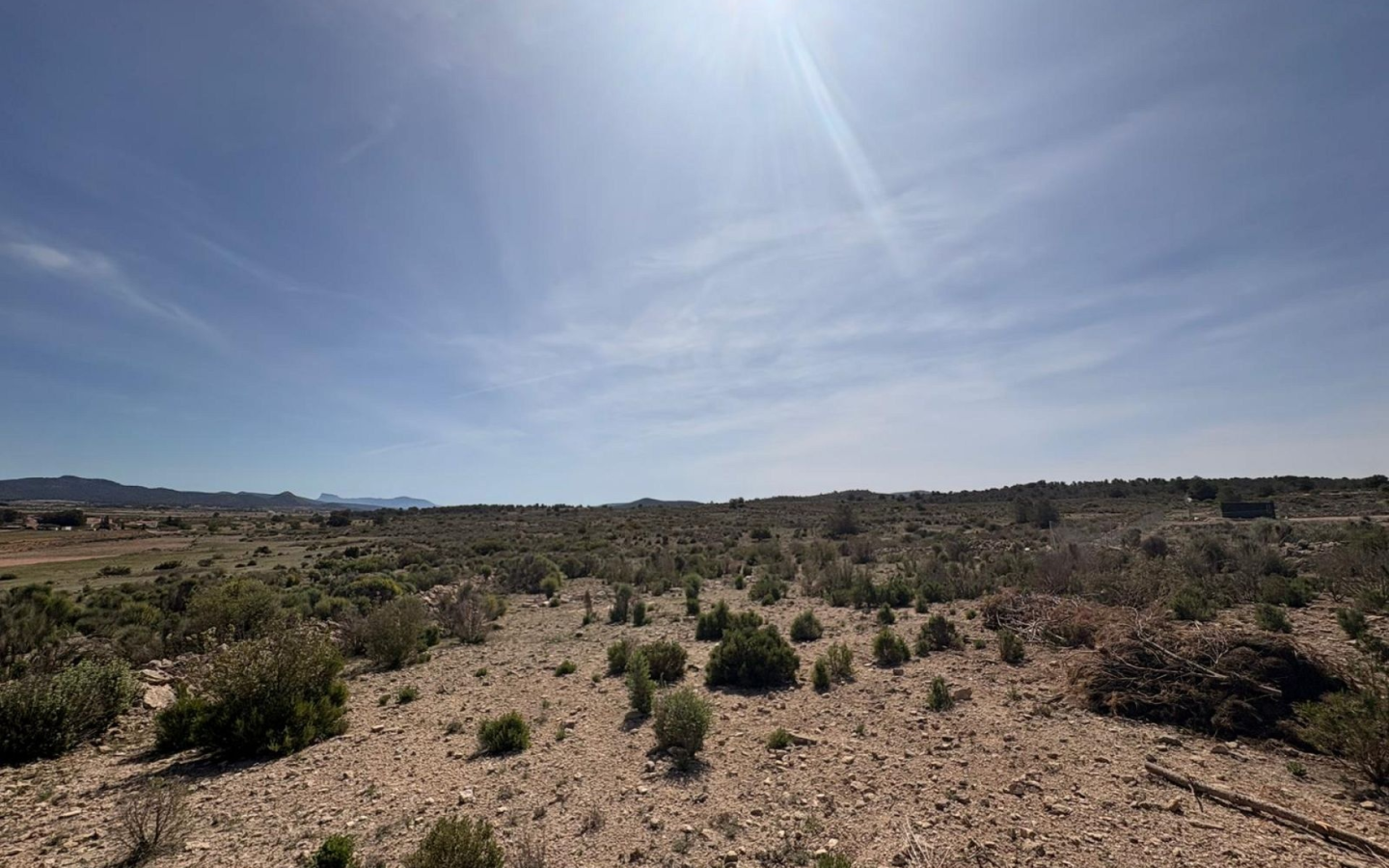 Land In Pinoso, Spain (10.000 M² Plot)