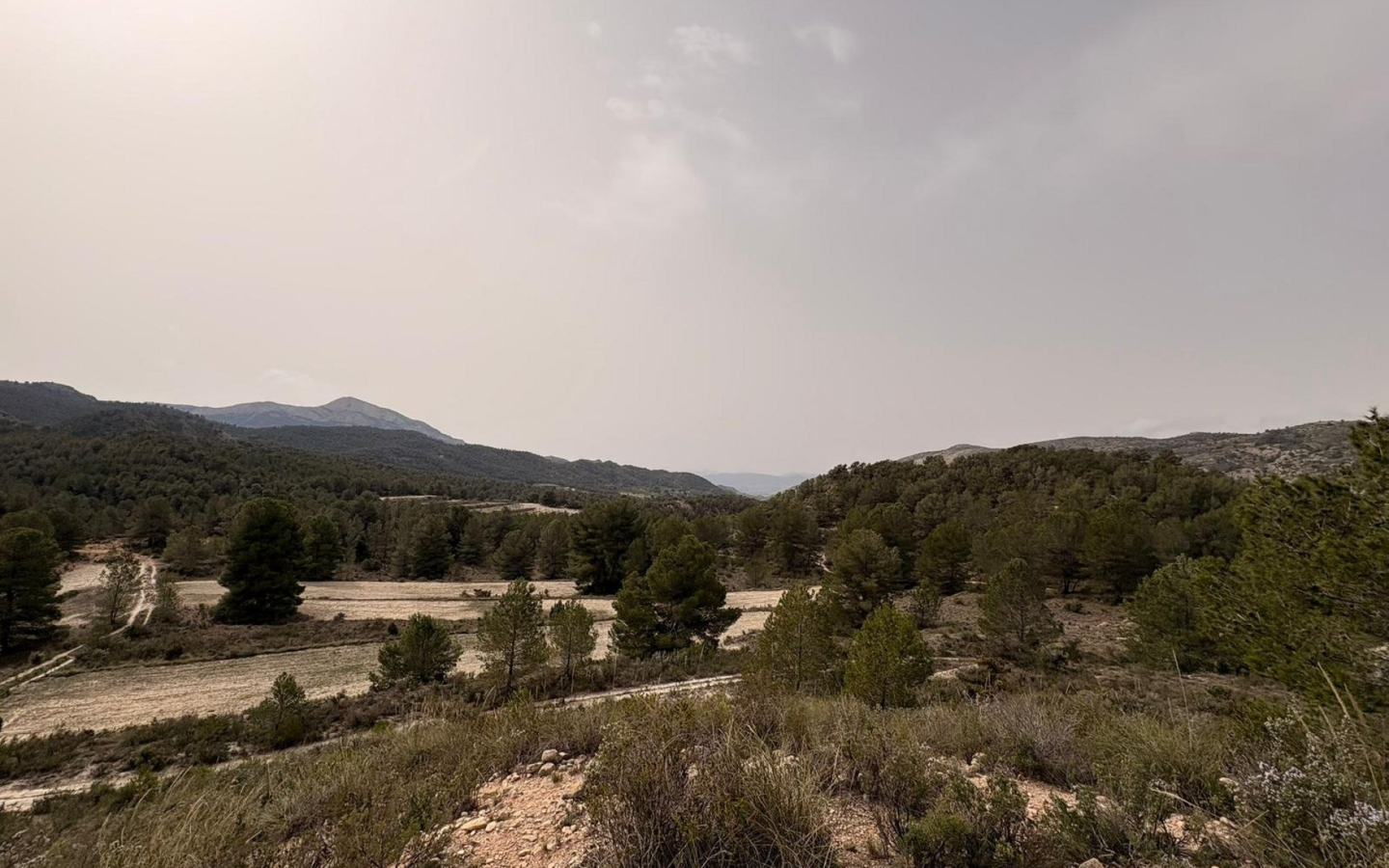 Land In Petrer, Spain (100.000 M² Plot)