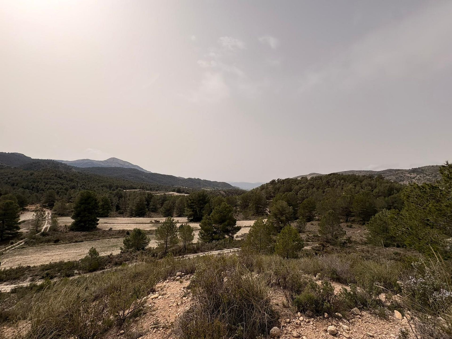 Land In Petrer, Spain (100.000 M² Plot)