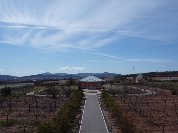 4-bedroom Detached Villa In Pinoso, Spain (209 M²)