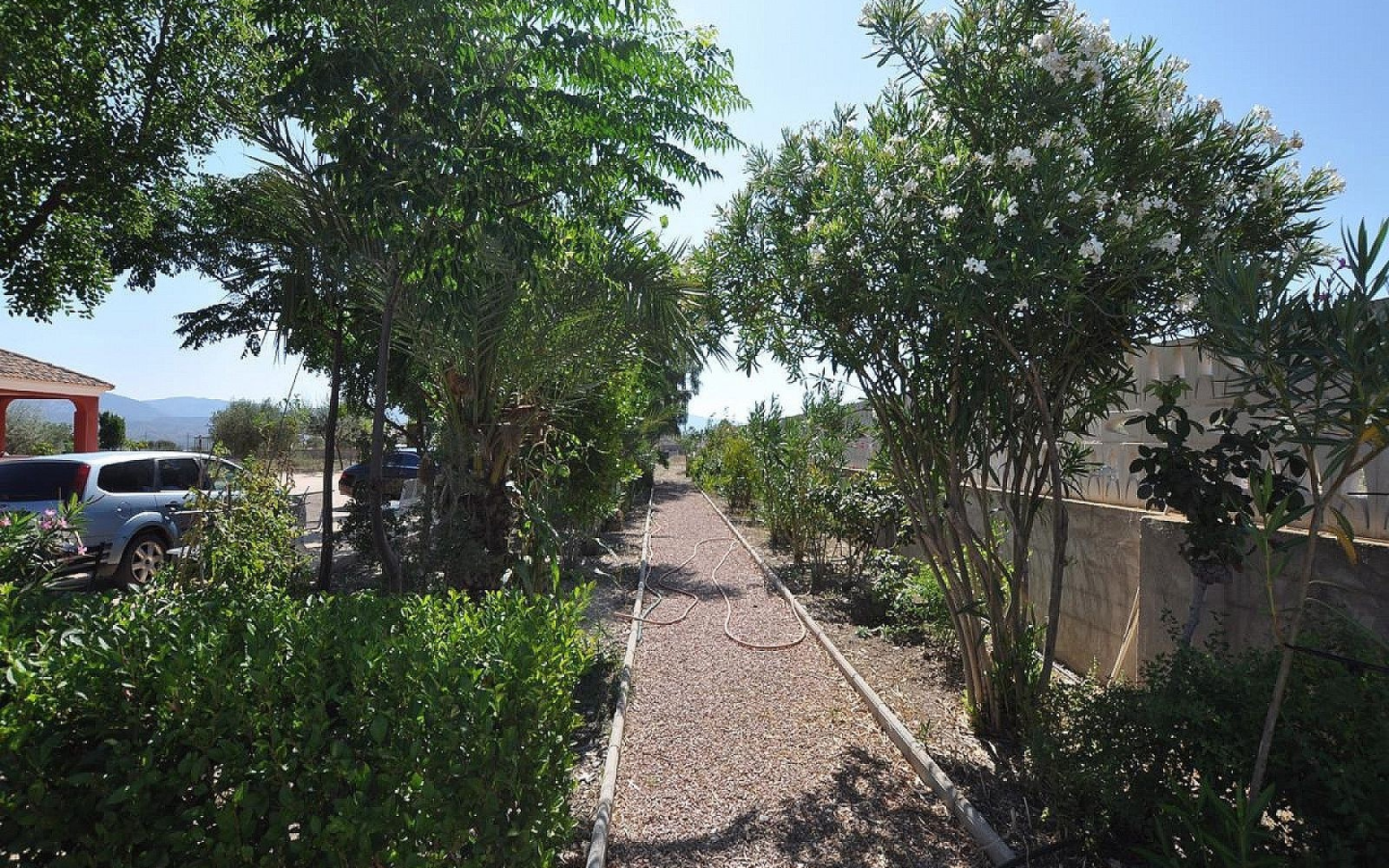 8-bedroom Detached Villa In Sax, Spain (325 M²)