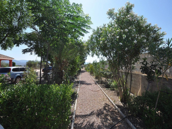 8-bedroom Detached Villa In Sax, Spain (325 M²)