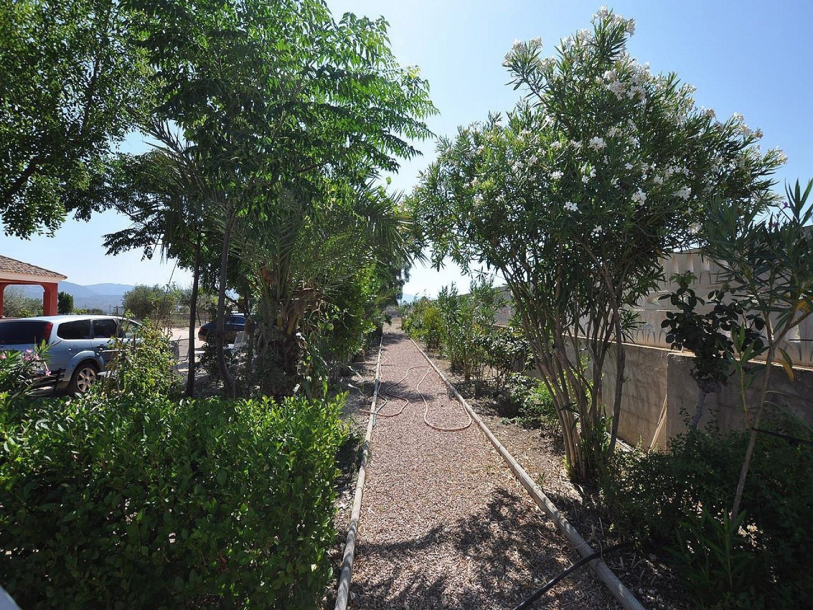 8-bedroom Detached Villa In Sax, Spain (325 M²)