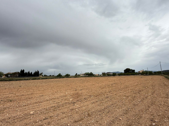 Land In Culebron, Spain (30.354 M² Plot)