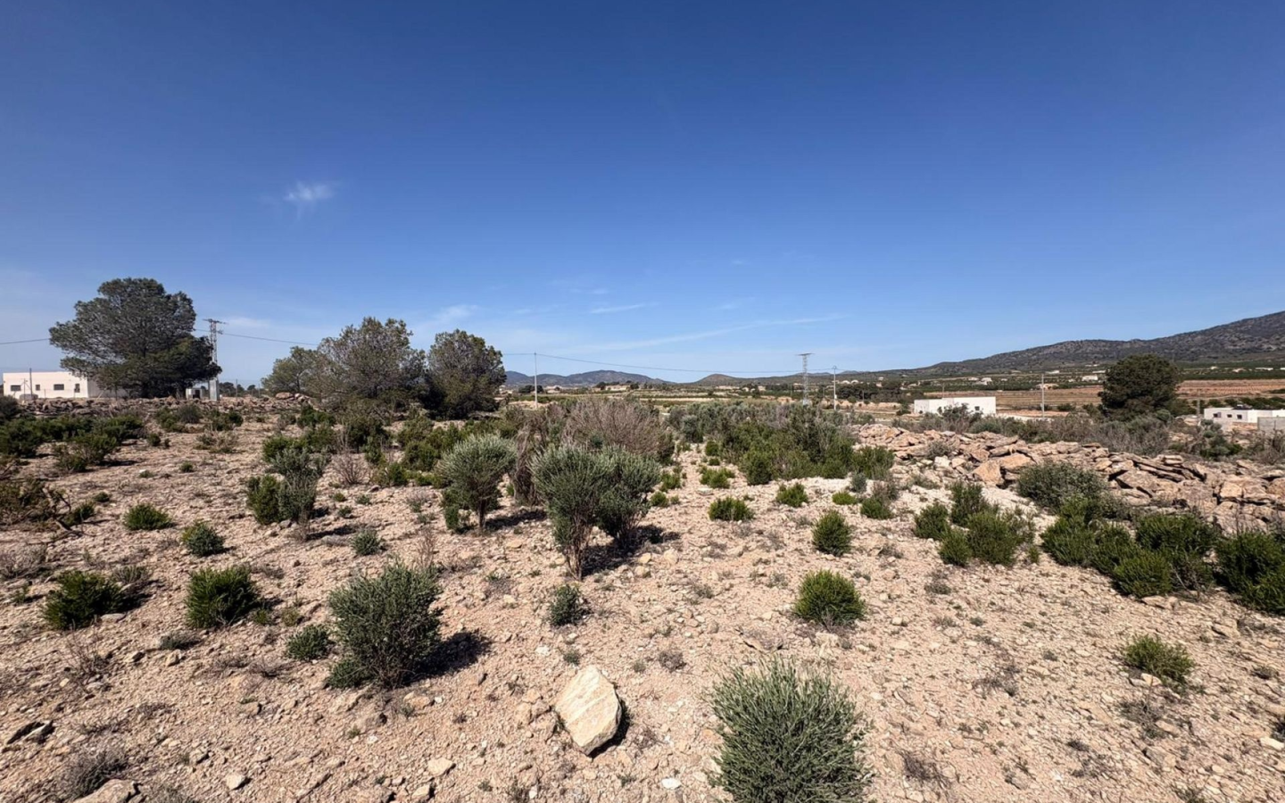Land In Pinoso, Spain (10.000 M² Plot)