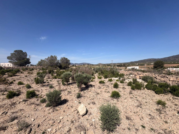 Land In Pinoso, Spain (10.000 M² Plot)