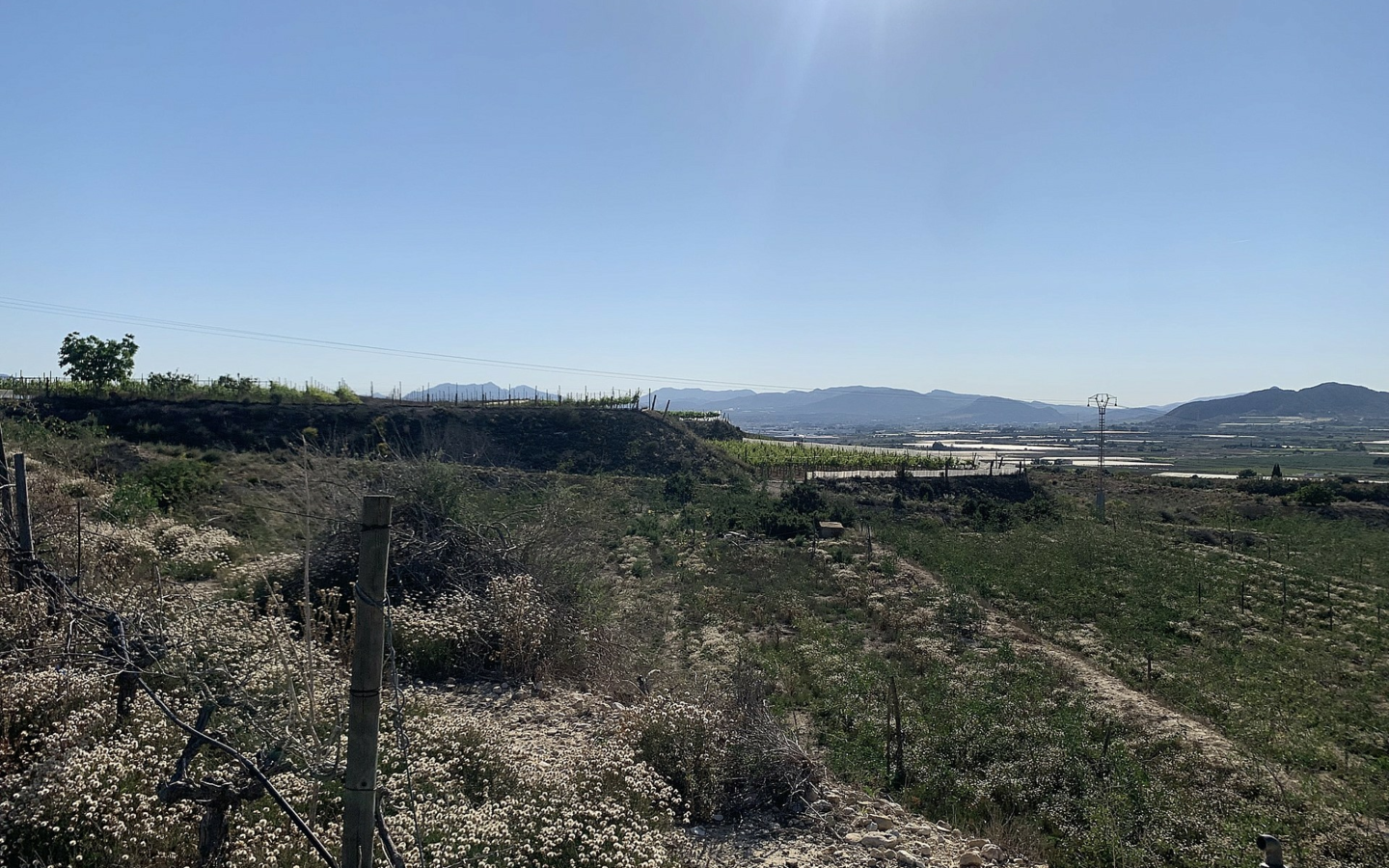 Land In Monforte Del Cid, Spain (11.516 M² Plot)