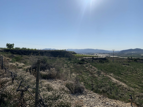 Land In Monforte Del Cid, Spain (11.516 M² Plot)