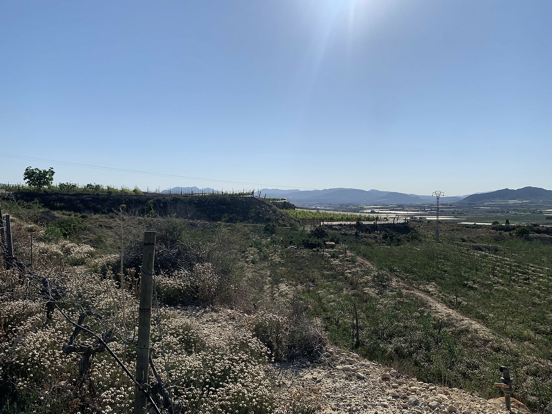 Land In Monforte Del Cid, Spain (11.516 M² Plot)